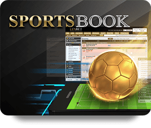 Exploring the Features of VF555 Live Dealer Hot Casino Game